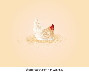 white chicken, eggs, hay