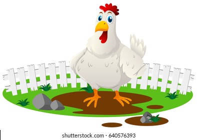 White chicken in the farm illustration