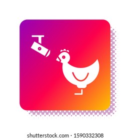 White Chicken farm and wireless Controlling CCTV security camera icon isolated on white background. Square color button. Vector Illustration