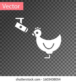 White Chicken farm and wireless Controlling CCTV security camera icon isolated on transparent background.  Vector Illustration