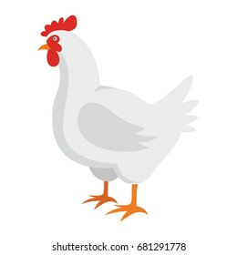 White chicken flat cartoon icon.  