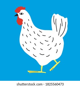 White chicken goes on a blue background