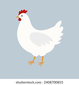 Pollo blanco, ilustración vectorial de la gallina.
