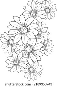  white chrysanthemum daisy flower pencil sketch 