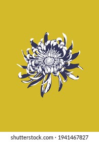 Diseño vectorial de flores de crisantemo blanco sobre amarillo. Madres de floración floral