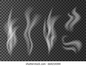 El efecto humo del cigarrillo blanco aislado en fondo transparente.Vapor de una taza de café o té.Textura vectorial realista.
