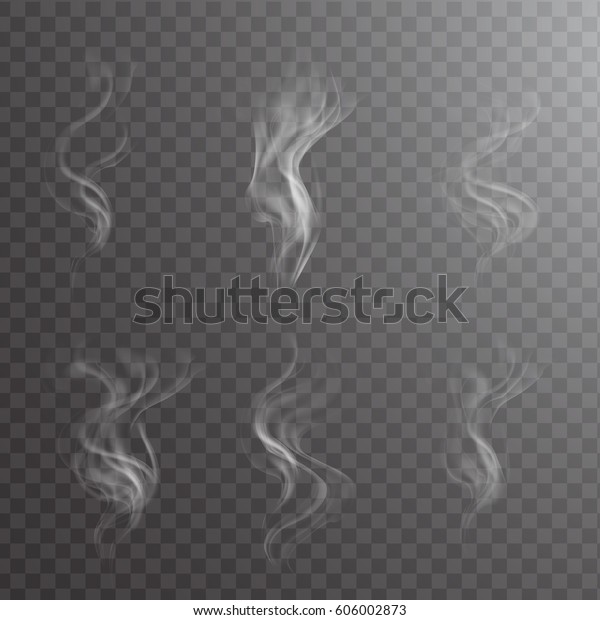 White cigarette smoke waves on transparent.
Transparent white steam over cup on dark background background
vector illustration.