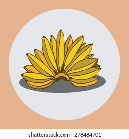 The white circle on a cream background shows a branch of bananas. Vector illustration
