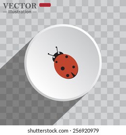White circle on a gray background with shadow. icon,  Ladybird. Vector illustration, EPS 10 