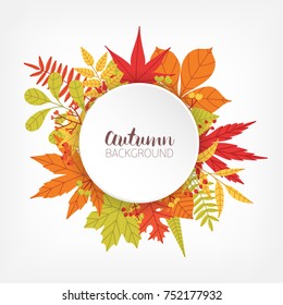 White circle surrounded by various colorful autumn tree leaves and branches and place for text in center. Seasonal backdrop with round element decorated by foliage. Botanical vector illustration.
