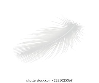 Weiße, saubere Vogelfeder, realistische Vektorgrafik