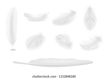 White clean bird feathers realistic set isolated vector illustration