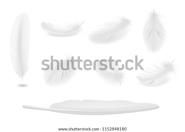 白いクリーンな鳥の羽のリアルなセット 分離型ベクターイラスト のベクター画像素材 ロイヤリティフリー