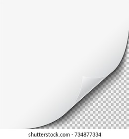White clean sheet of paper swirling corner with shadow on transparent background. Vector illustration.