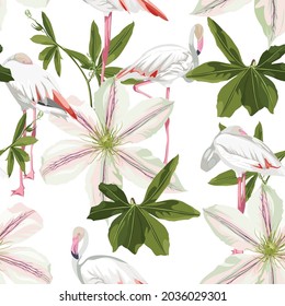 White clematis flowers and flamingo bird seamless pattern, branch, greenery. Decorative white background in rustic boho style for fabric.
