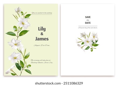 White climbing flowers. Beautiful floral background. Dipladenia. Mandevila. Green leaves. Border. Blooming liana. Tropical flower. Wedding invitation.