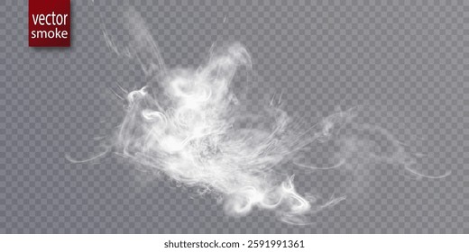 White cloud, fog, smog, haze, steam. Vector 10 EPS transparent background PNG