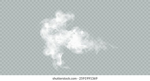 White cloud, fog, smog, haze, steam. Vector 10 EPS transparent background PNG