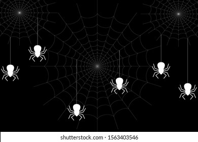 White cobweb and white spider on black background.