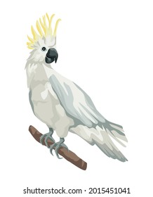 white cockatoo bird exotic icon