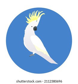 white cockatoo with a bright yellow crest on a blue background, a cockatoo sticker, a parrot vector graphics