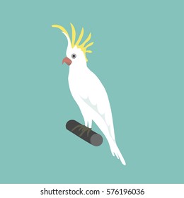 White Cockatoo parrot isolated flat vector illustration