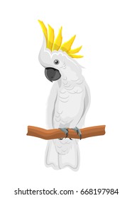 White Cockatoo Parrot On Branch, Exotic Bird with Crest Isolated on White Background - Illustration Vector