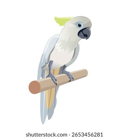 White cockatoo perched on a wooden stick. The tropical bird with soft white feathers, a yellow crest, and a curved beak. Stylized vector illustration isolated on a white background.
