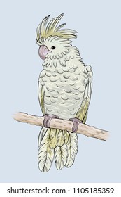 white cockatoo sitting on a branch, vector