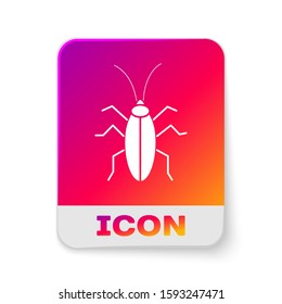 White Cockroach icon isolated on white background. Rectangle color button. Vector Illustration
