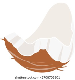 Weißes Kokosnussfleisch mit braunem Schalenelement, einzeln auf transparentem Hintergrund für tropische Lebensmittelgrafiken und Zutatendesigns.