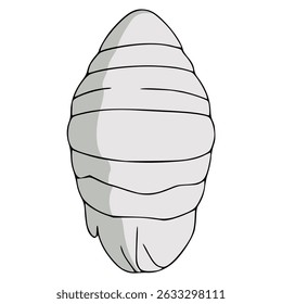 white cocoon insect larva cycle flat color vector illustration template design