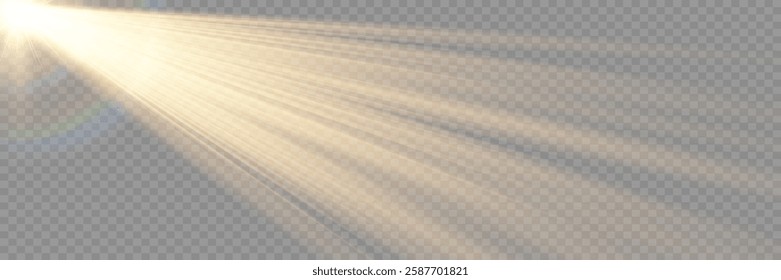 White color bright Sunlight light