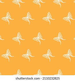 white color butterfly patterns on orange background, vector