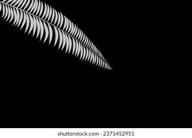 white color leaf and black color abstrack background designe.