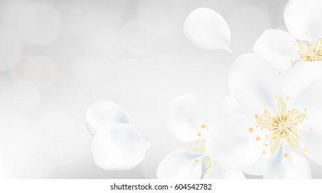 White color pastel spring macro background. apple tree flower blossom petals illustration