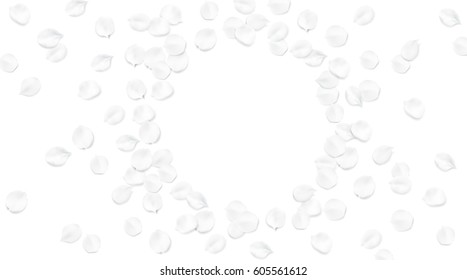 White color pastel spring macro background. apple tree flower blossom petals on the table flrame ornament illustration