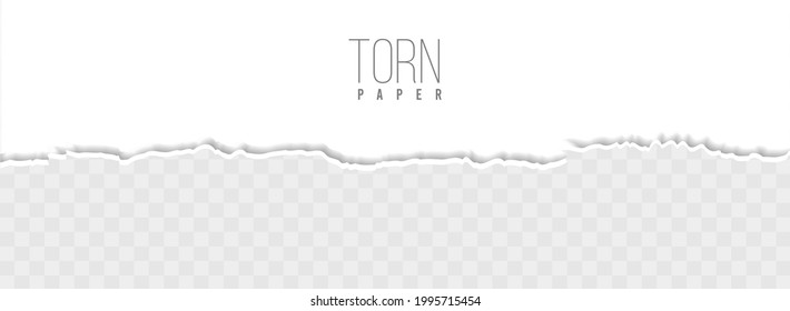 White color ripped torn paper banner isolated in transparent background. Vector illustration.