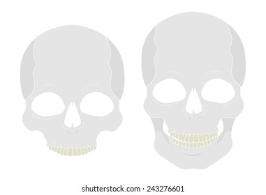 White color skull vector clip art illustration isolated on white