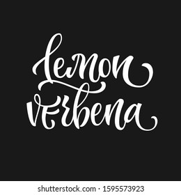 White colored hand drawn spice label - Lemon verbena. Isolated calligraphy scrypt stile word. Vector lettering design element.