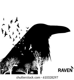 The white colored trees in a bird with raven lettering vector illustration.
