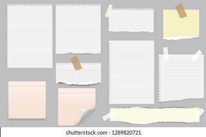 White and colorful note, notebook paper with torn edges stuck on gray background. Pink sheets of note papers, sticky notes.  Ripped Paper Page Set, Torn Edge 