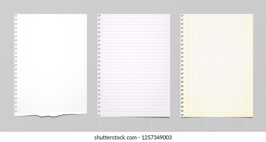 White, colorful ripped notebook paper, note paper stuck on grey background. Vector illustration