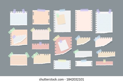 White and colorful striped note, copybook, notebook sheet. Paper notes on stickers, notepads and memo messages torn paper sheets. Office and school stationery, memo stickers. Vector illustration.