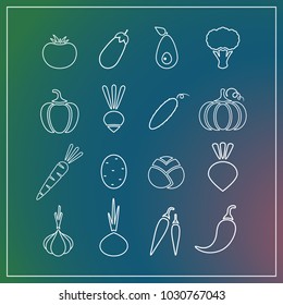 White contour isolated vegetable icon set on trendy background. Vector illustration with symbol of onion, eggplant, pepper and other vegetables for fresh eco product symbols or organic market logo.