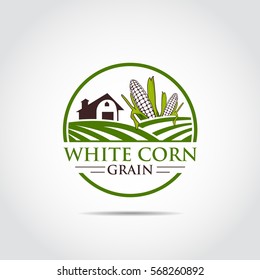 White Corn. Agriculture Logo template. Vector Illustrator eps.10