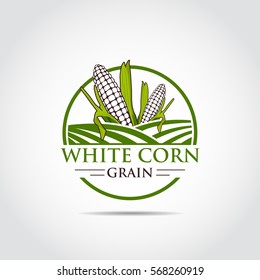 White Corn. Agriculture Logo template. Vector Illustrator eps.10