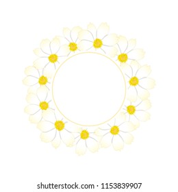 White Cosmos Flower Banner Wreath. Vector Illustration.