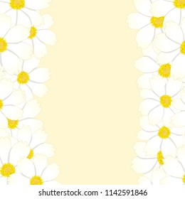 White Cosmos Flower Border. Vector Illustration.