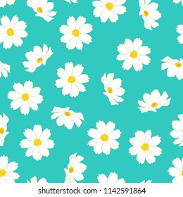 White Cosmos Flower On Blue Mint Background. Vector Illustration.